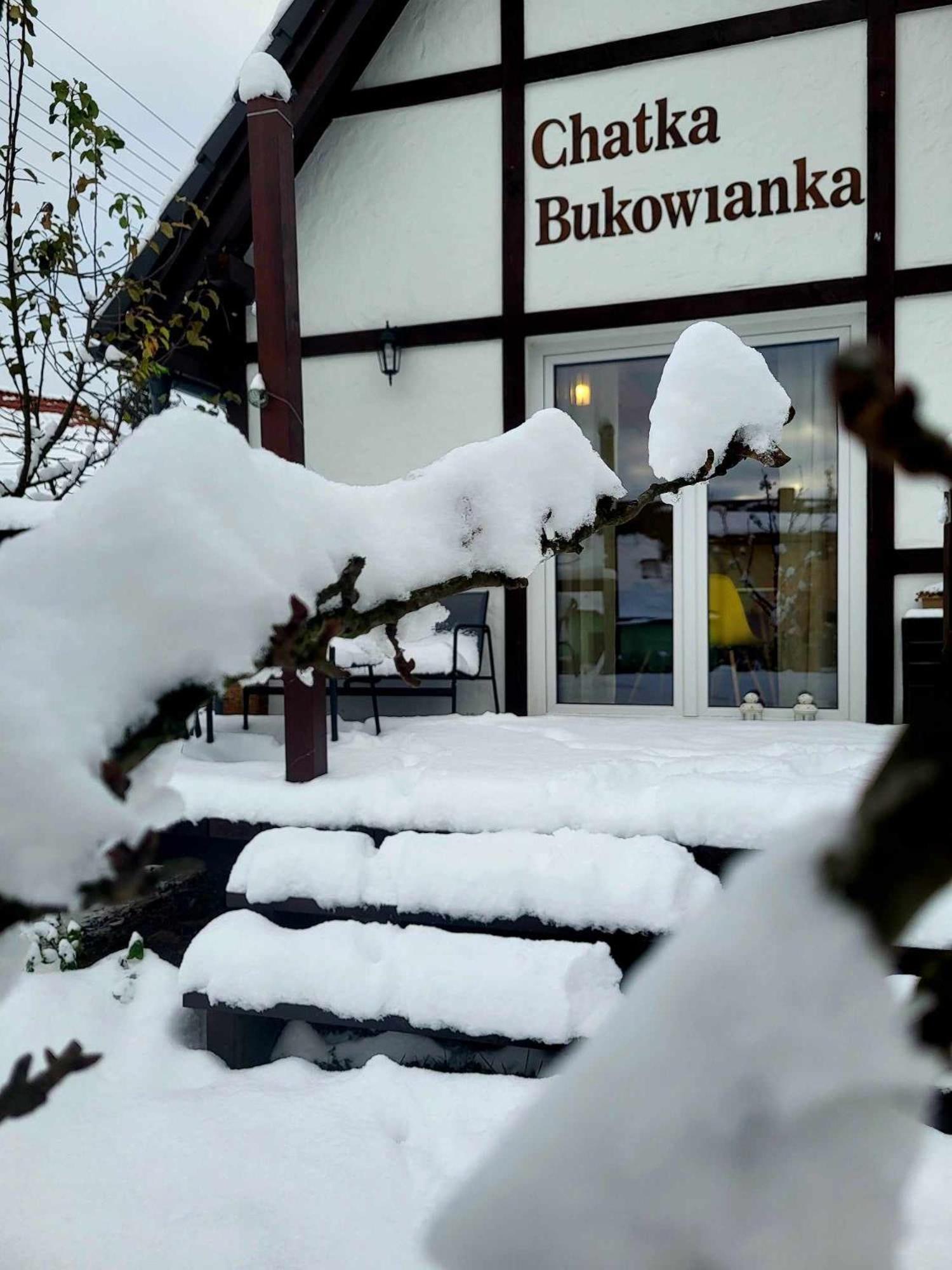 Chatka Bukowianka W Bukowcu Kolo Karpacza Bukowiec  المظهر الخارجي الصورة